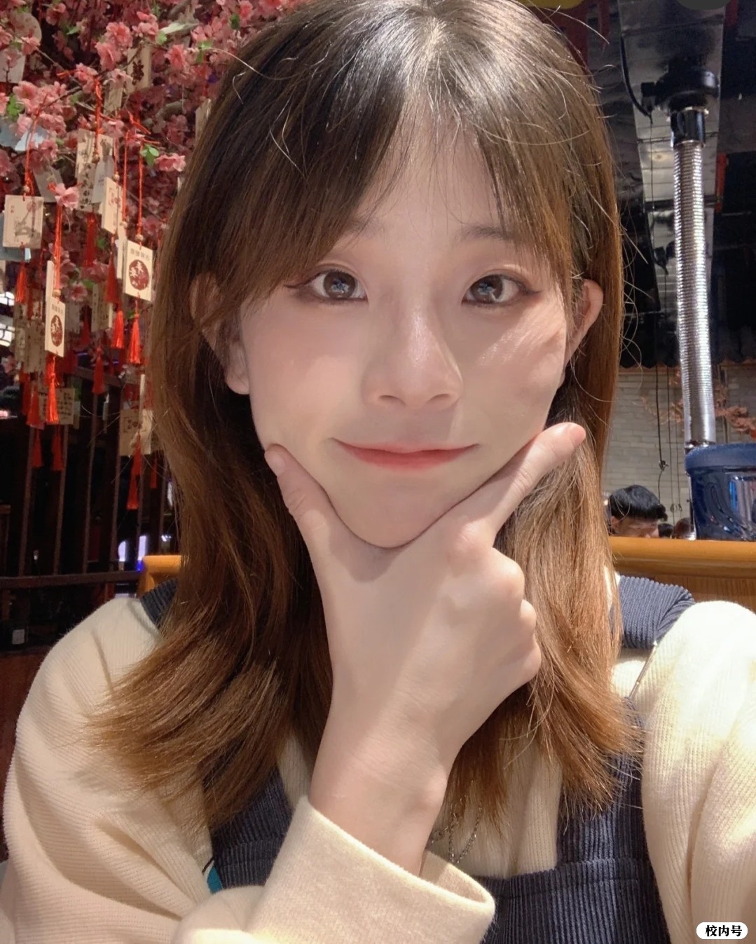 wechat_upload164198656861deba0840018